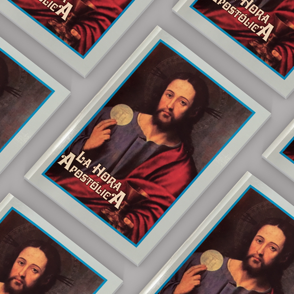 LA HORA APOSTÓLICA <br> (x12)