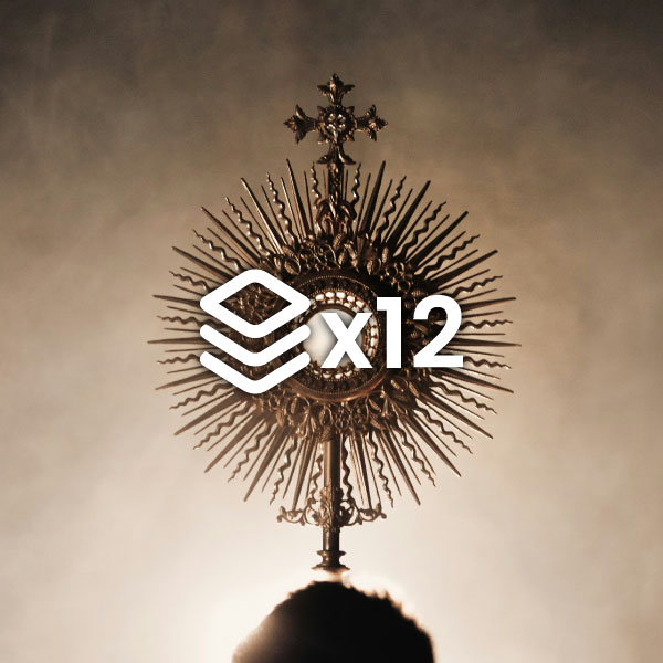 LA SOMBRA DE SAN PEDRO <br> (x12) - Image 4