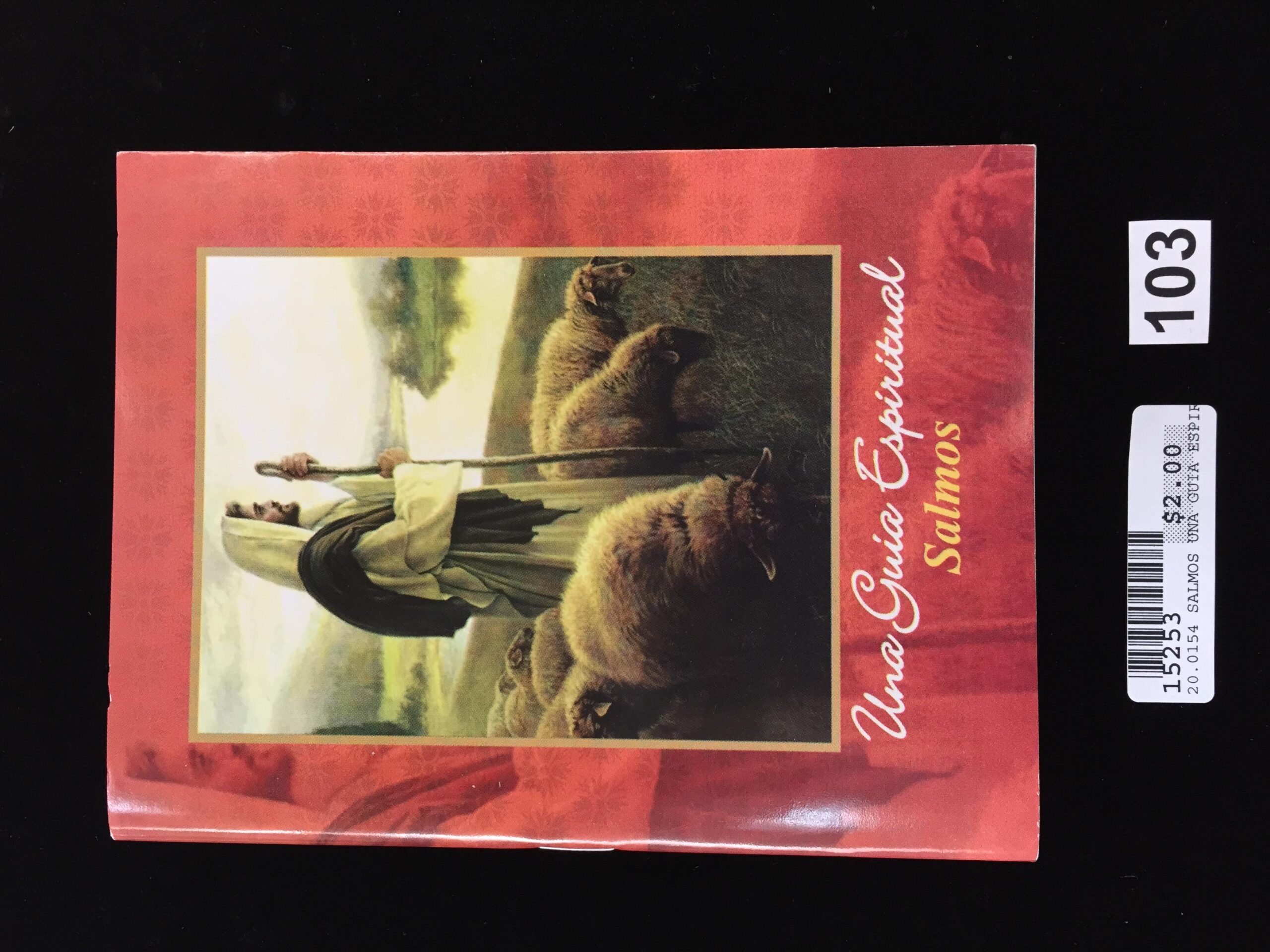 SALMOS, UNA GUIA ESPIRITUAL <br> (x12)