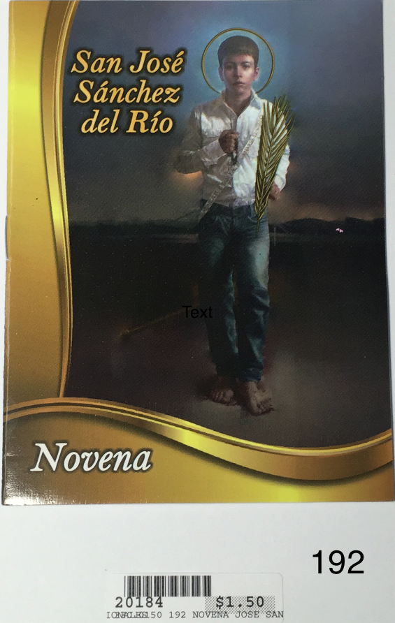 NOVENA SAN JOSÉ SÁNCHEZ DEL RÍO <br> (x12)