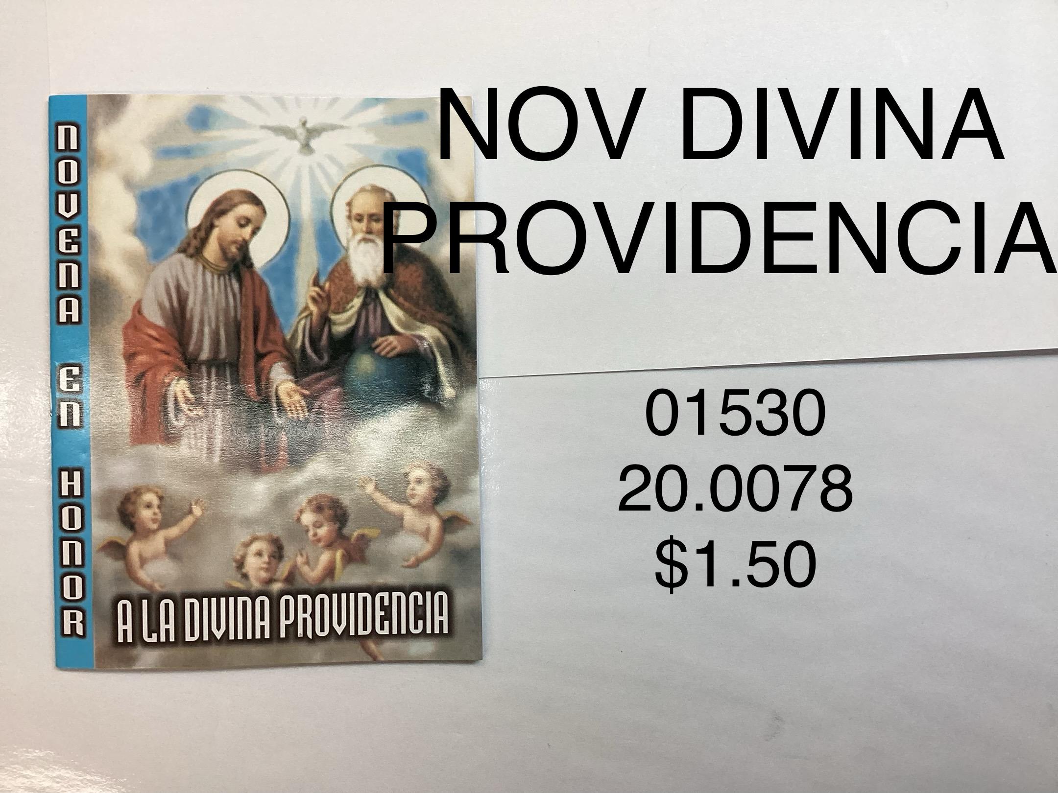 NOVENA EN HONOR A LA DIVINA PROVIDENCIA	<br> (x12)